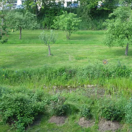 Apartment Appartementhaus Moos Lam