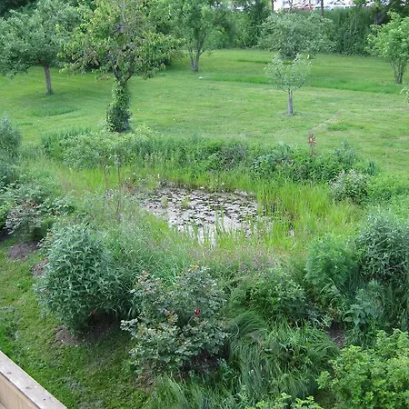 Apartment Appartementhaus Moos